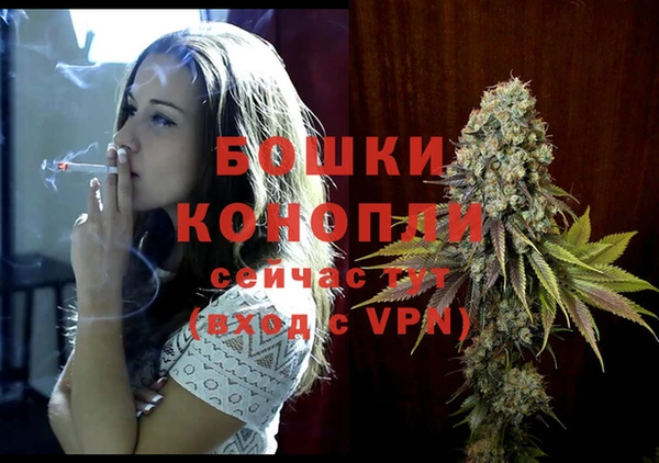 трава Кинешма